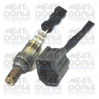 Oxygen Sensor